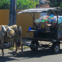 Garbage collection in Canasvieiras